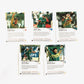 Vintage | 1996 World Cup Pakistan Trading Cards (Set of 5)